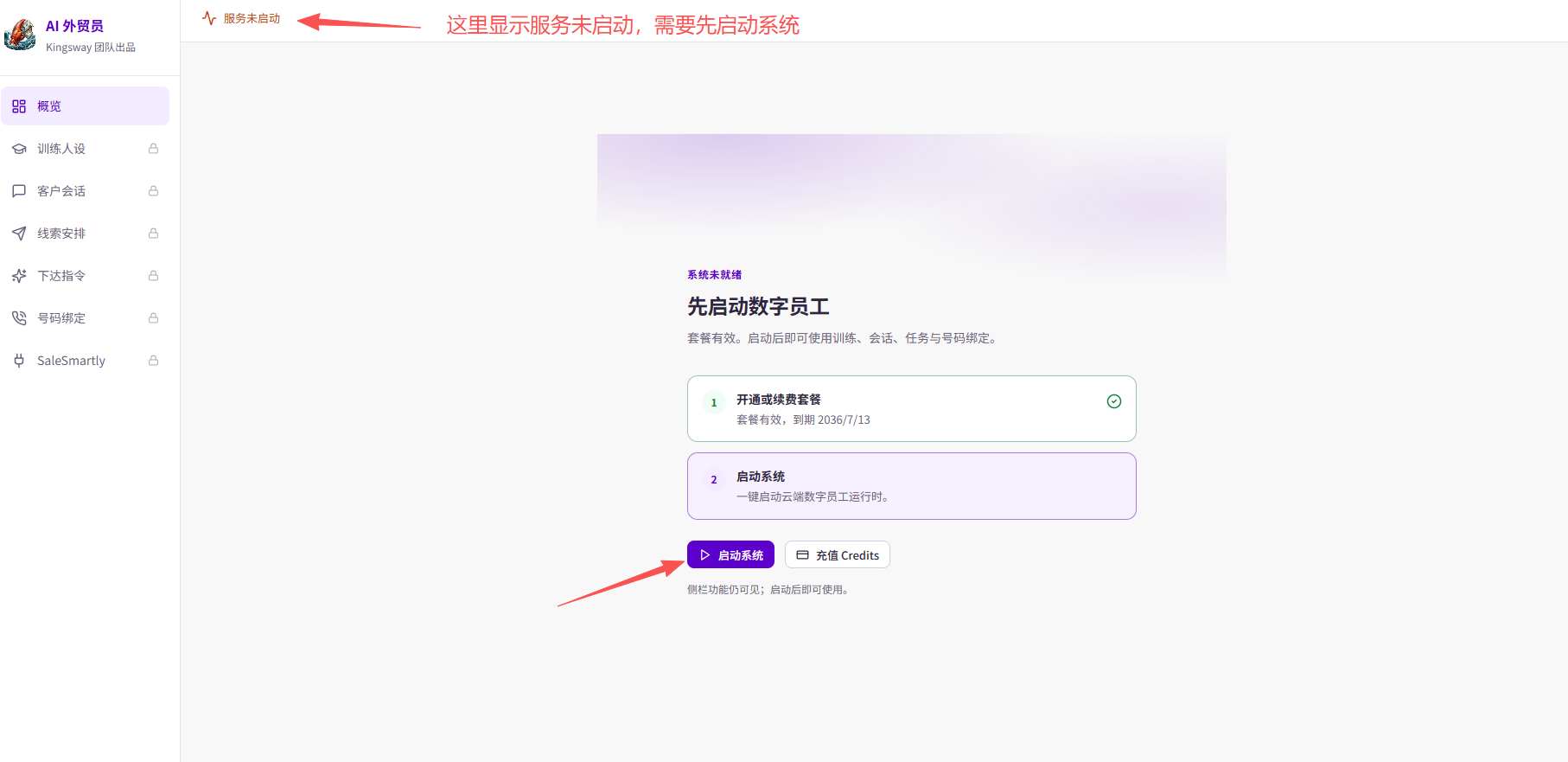 未启动的概览：顶部显示服务未启动；套餐有效后，点击页面中的「启动系统」。