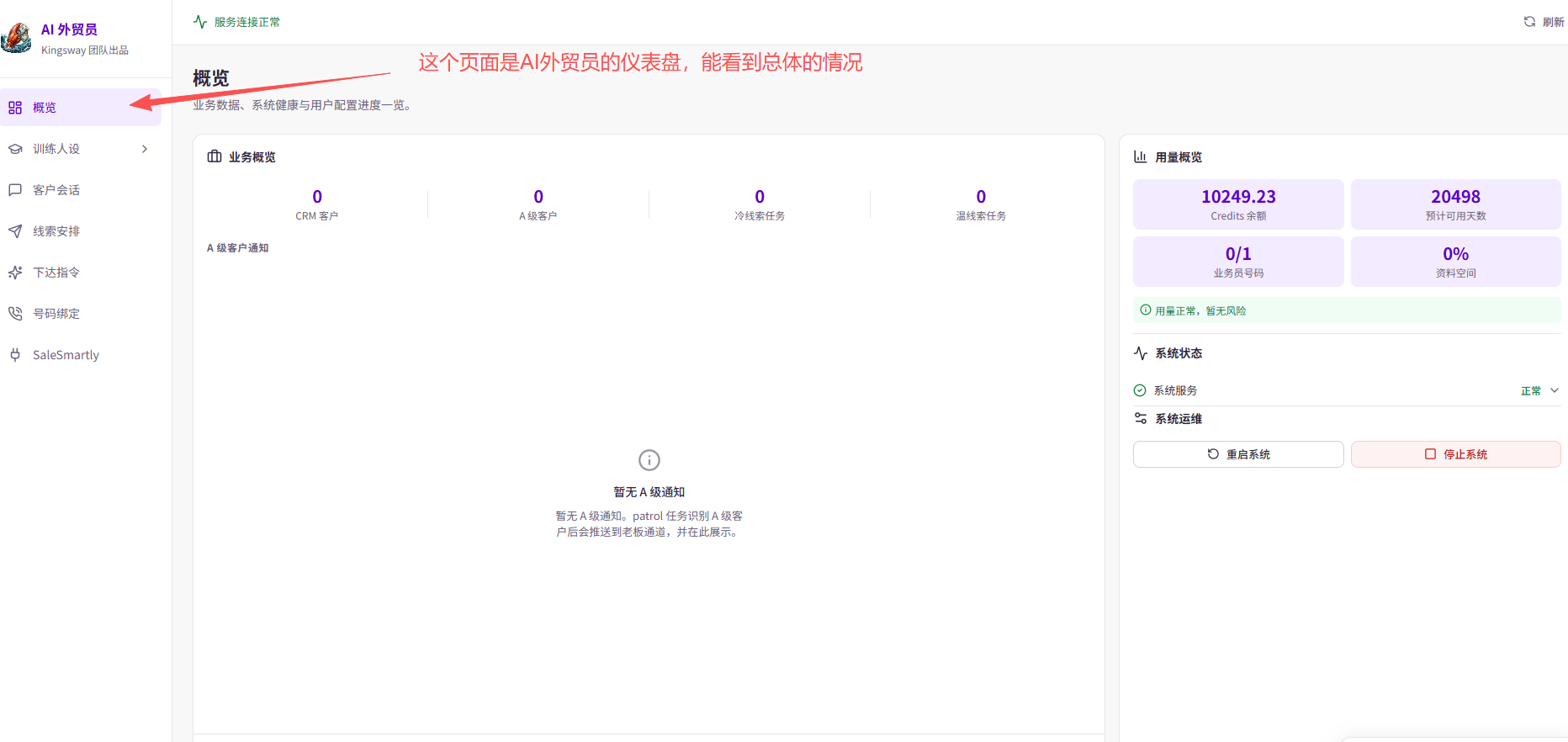 电脑端概览：左侧是各功能入口；概览页集中显示业务数据、用量和系统状态。